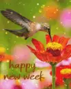 happy new week