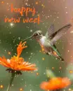 happy new week