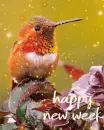happy new week