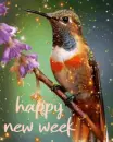 happy new week