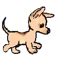 puppy dancing