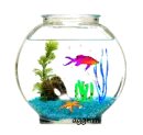 fish bowl