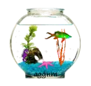 fish bowl