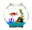 fish bowl