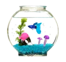 fish bowl