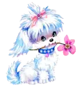 cute dog