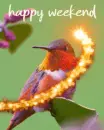 happy weekend