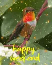 happy weekend