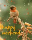 happy weekend