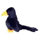 caw the crow