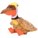 Gilder the prehistoric bird