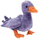 Honks the goose