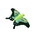 Float the butterfly
