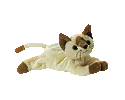 Snip the siamese cat