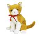 Tangles the cat