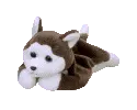 Nanook the husky