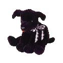 Luke the black lab
