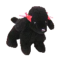 Gigi the dog