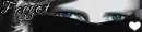 Bob Bryar Banner