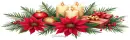 Christmas Winter Divider