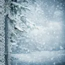 Winter/Christmas BG