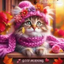 Good Morning