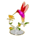 hummingbird
