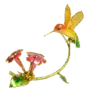 hummingbird