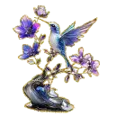hummingbird