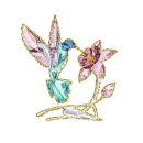 hummingbird