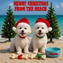 Merry Christmas from the Beach