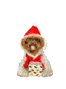christmas dog