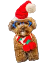 christmas dog