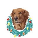 dog wearing a wreath