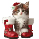 christmas kitten