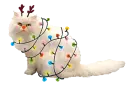 christmas cat