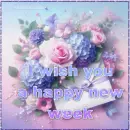 I wish you a happy new week