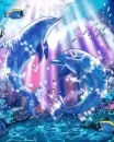 dolphins