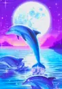 dolphins