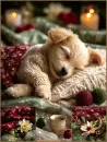 Sleepy Christmas Puppy Background
