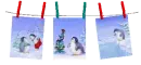 penguins