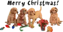 merry christmas puppies