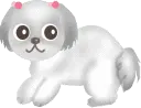 dog wink