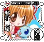 sakura love