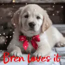 Bren loves it