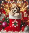 Happy Holidays