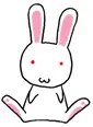white rabbit
