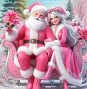 Pink Santa & Mrs. Claus
