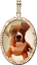 dog charm