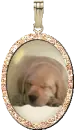 dog charm